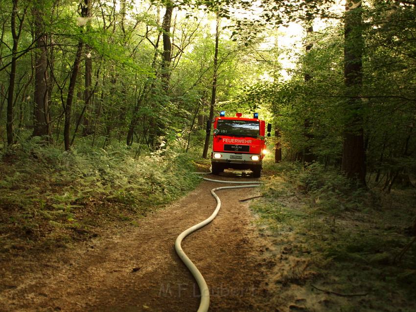 Waldbrand Bergisch Gladbach Bensberg P031.JPG